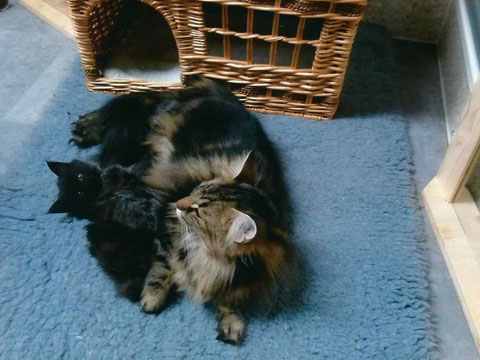 Mama Ushina mit Klein-Aragon