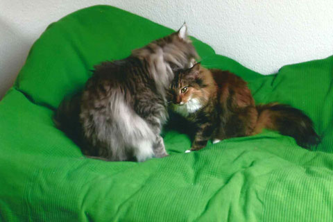 Cindy mit Sohn Sunny geniessen die Zweisamkeit